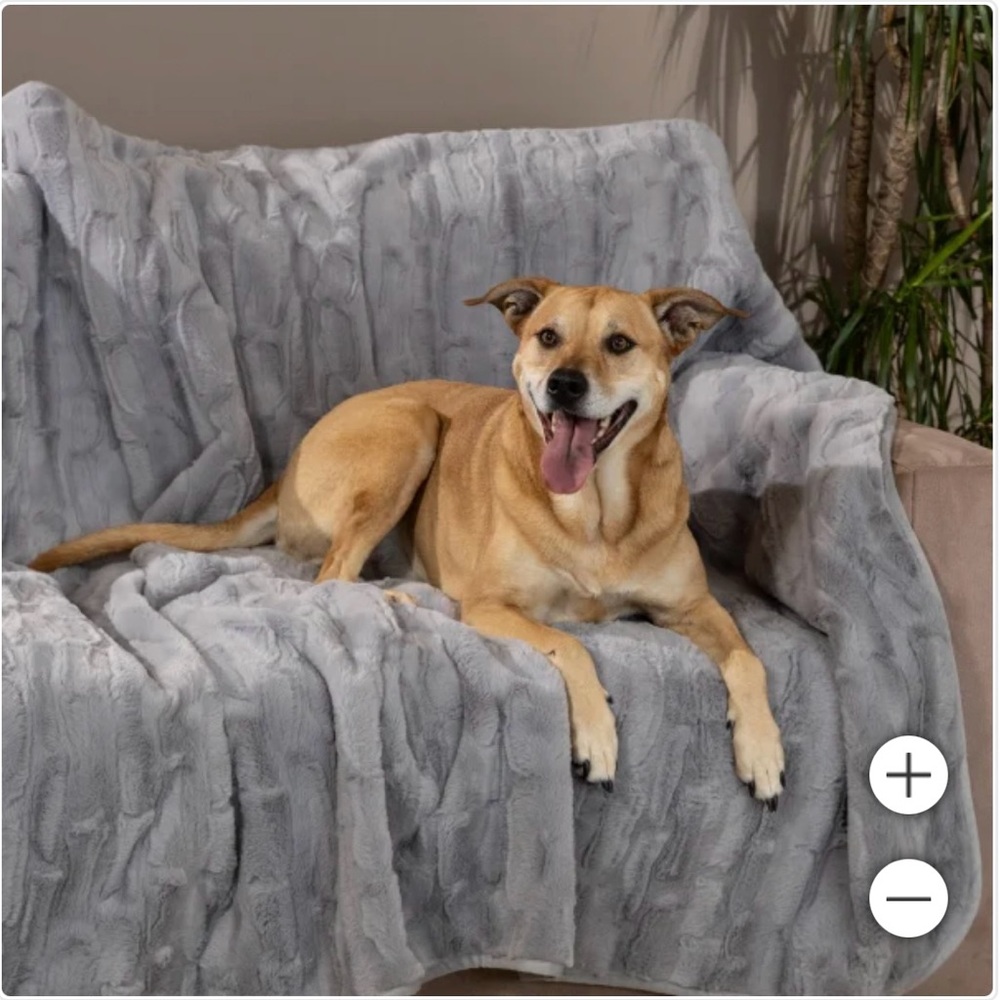 Brentwood Waterproof Pet Blanket Gray